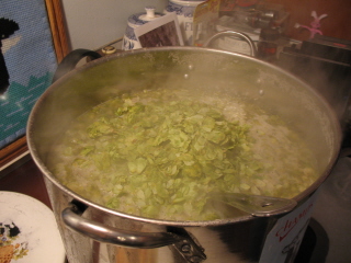 Hops and Wort on the Boil