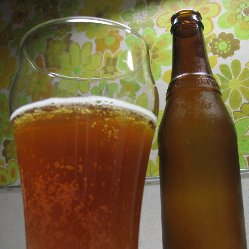 Frolf Amber Ale Review Sterr Bros Beer Blog